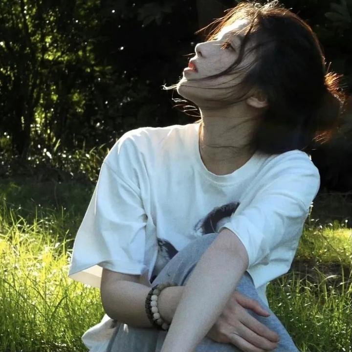 鬣狗之城