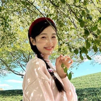 鉴你所见:花露森林