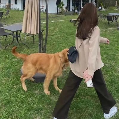 两个辘逐个捉